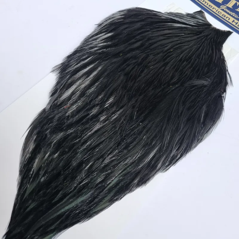 Whiting American Rooster Cape in  Black-5